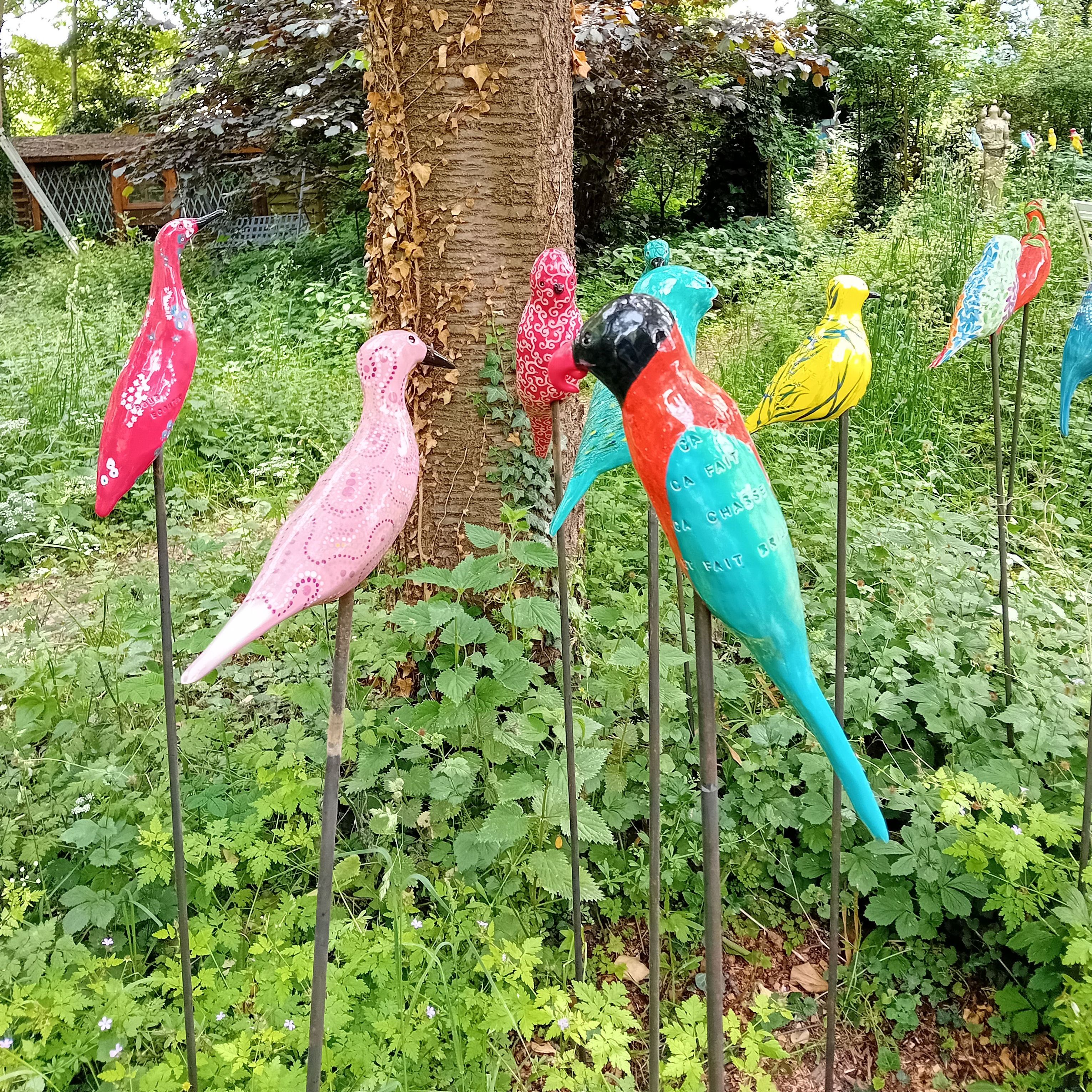 Artists/Images/marianne barbier_image_petit oiseau.jpg